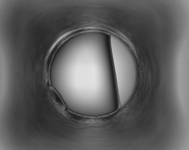 X0000085311368200703091045