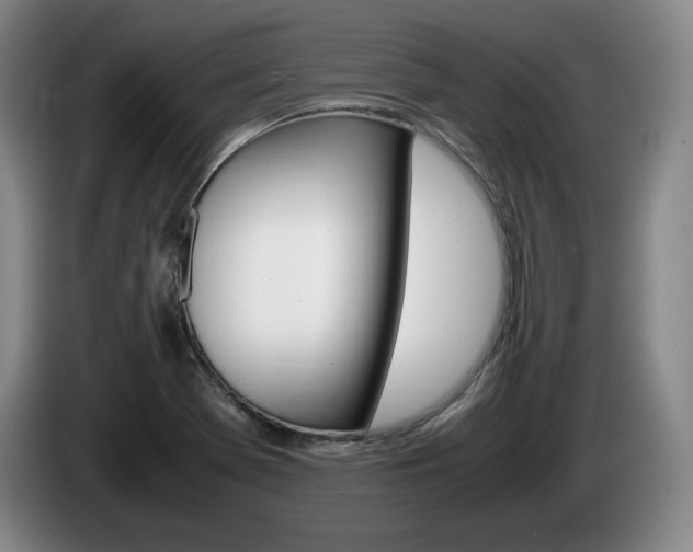 X0000085311369200703091045