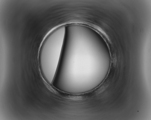 X0000085311372200703091045