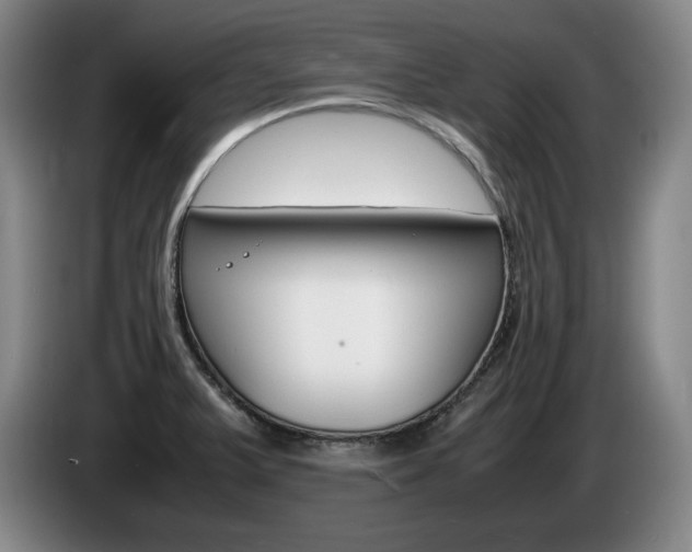 X0000085311375200703091045