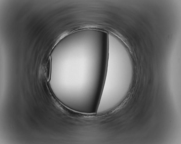 X0000085311377200703091045