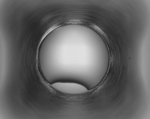 X0000085311378200703091045