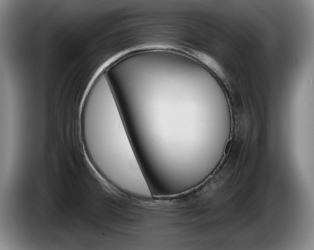 X0000085311380200703091045