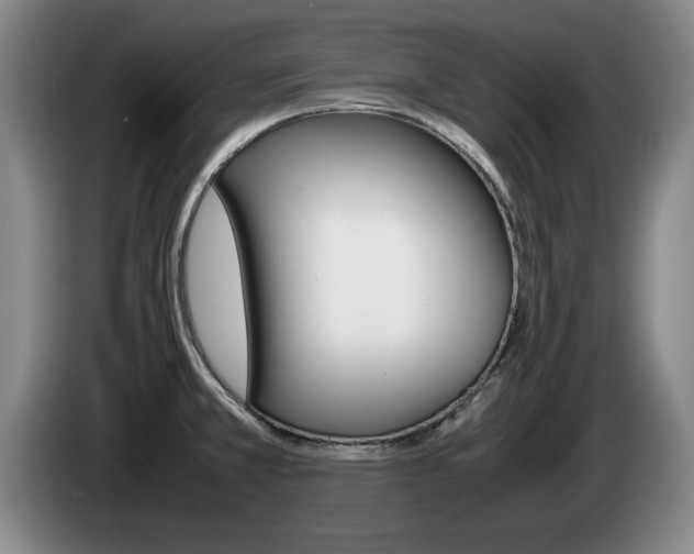 X0000085311381200703091045