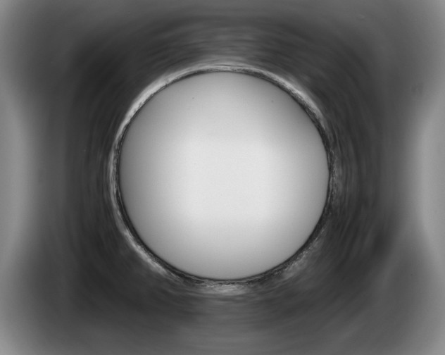 X0000085311382200703091045