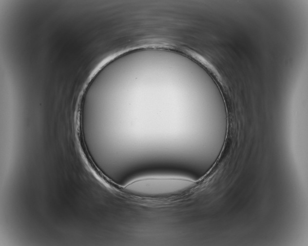 X0000085311383200703091045