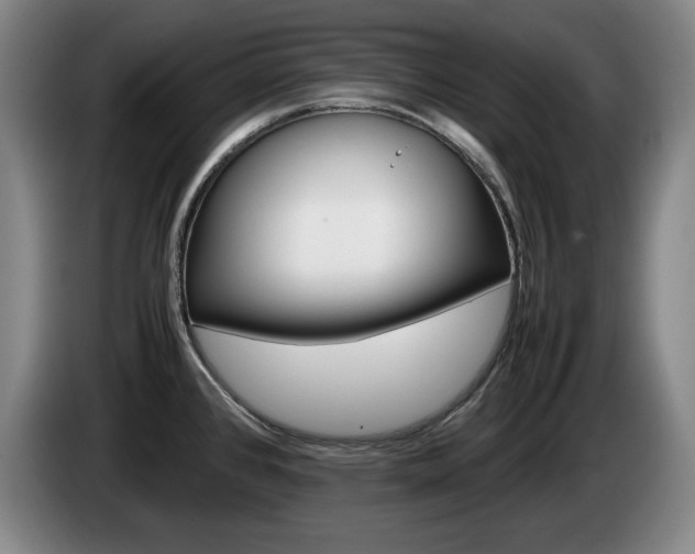 X0000085311384200703091045