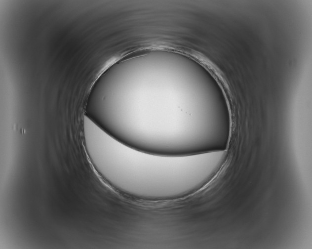 X0000085311385200703091045