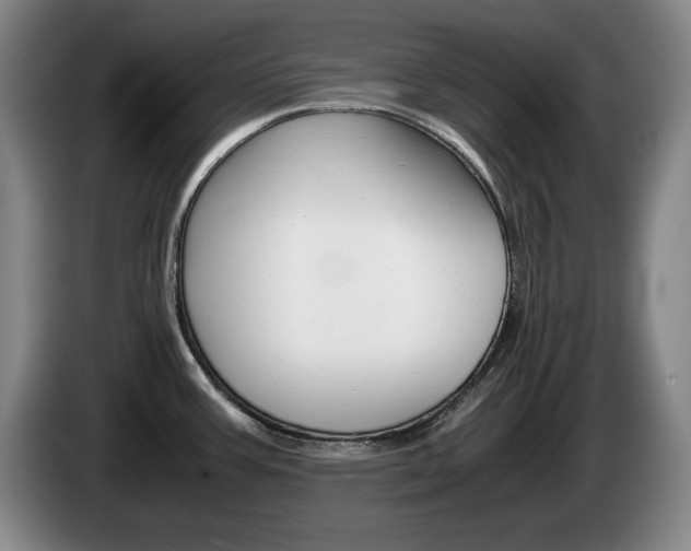 X0000085311387200703091045