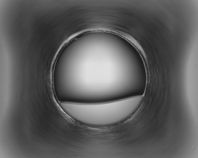 X0000085311388200703091045