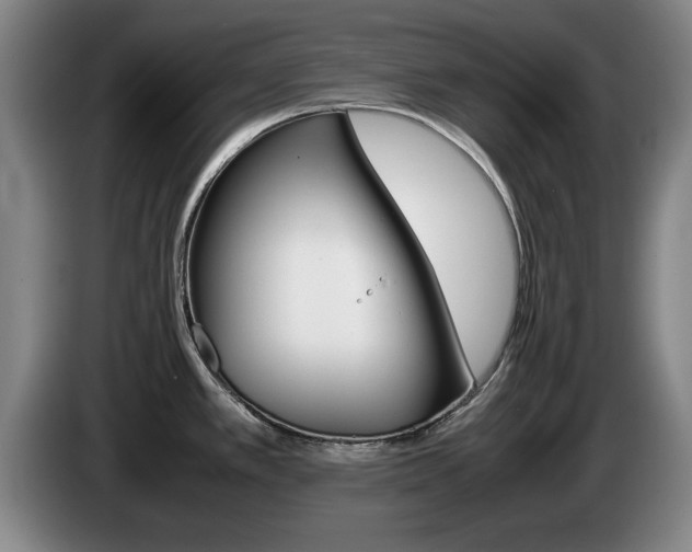 X0000085311389200703091045