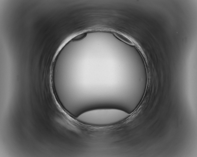 X0000085311390200703091045