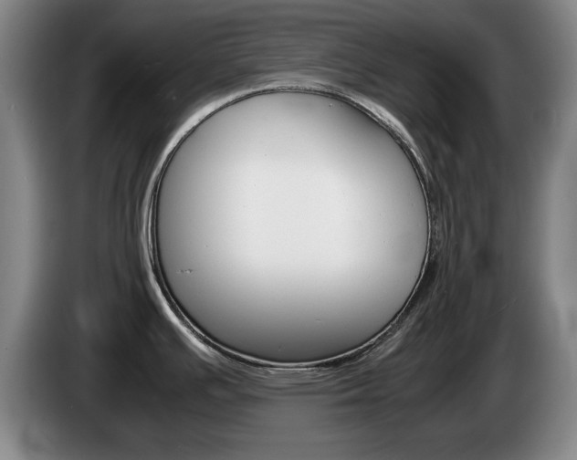 X0000085311391200703091045