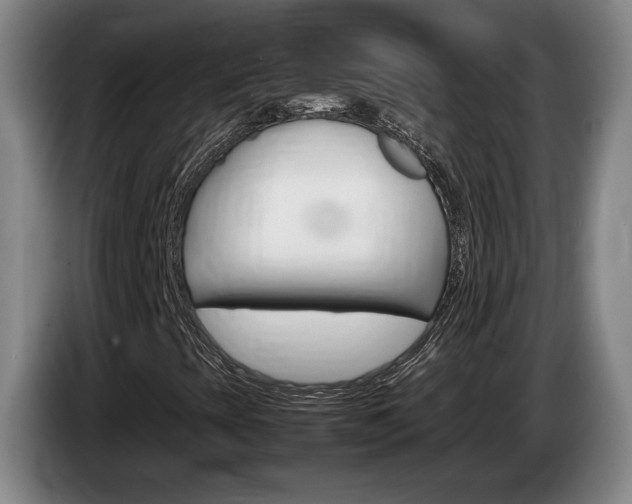 X0000085311393200703091044