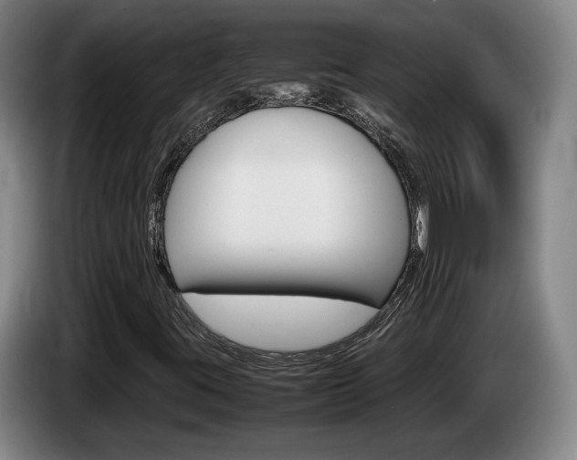 X0000085311395200703091044