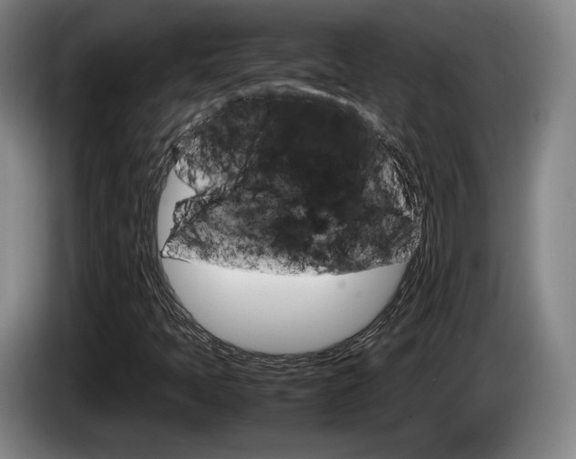 X0000085311397200703091044