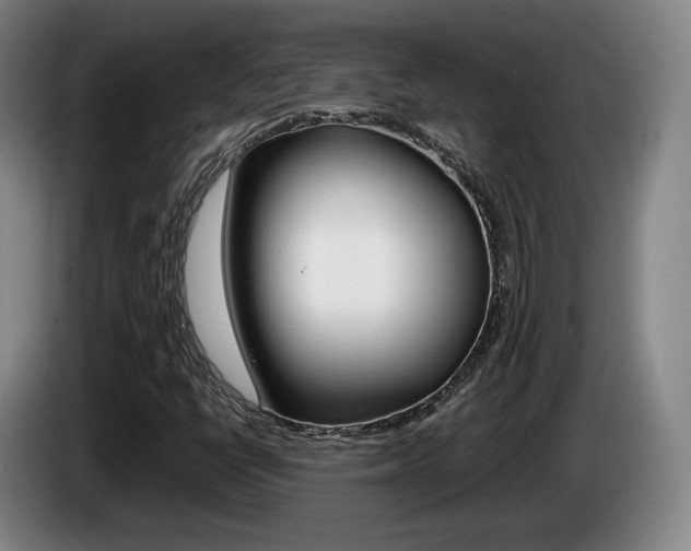 X0000085311398200703091044
