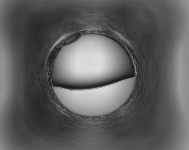 X0000085311400200703091044