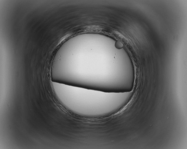 X0000085311401200703091044