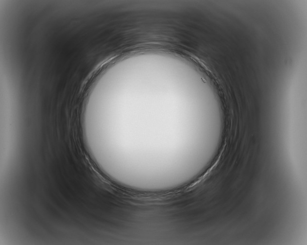 X0000085311402200703091044