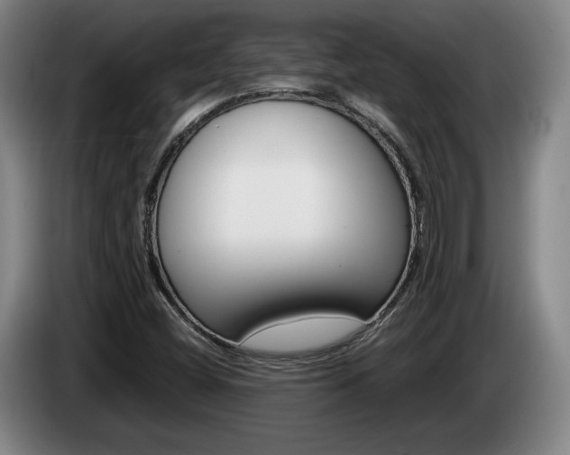 X0000085311404200703091044