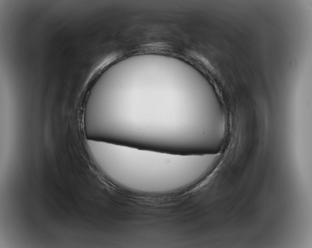 X0000085311405200703091044