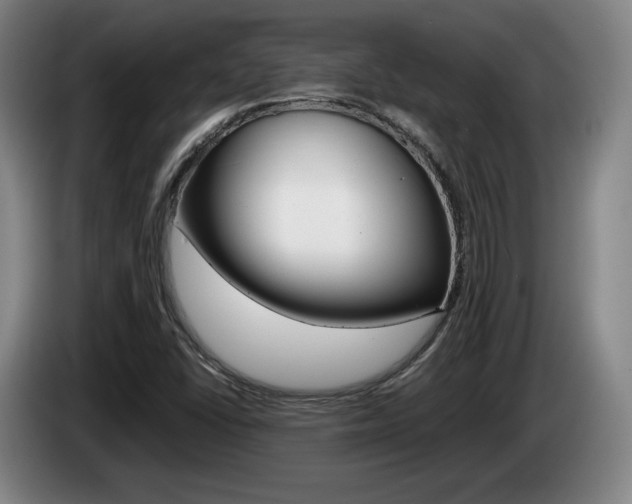 X0000085311406200703091044