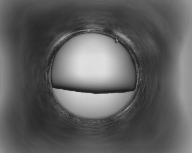X0000085311407200703091044