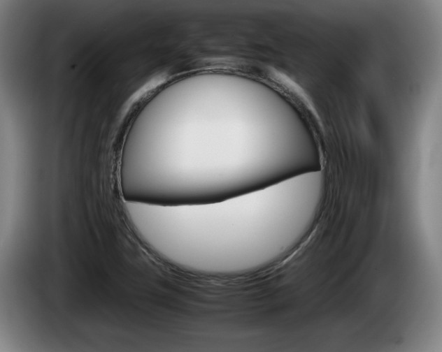 X0000085311411200703091044