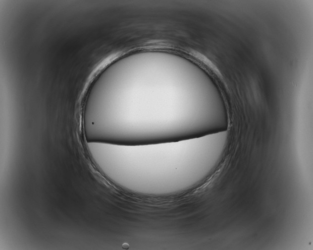 X0000085311413200703091044