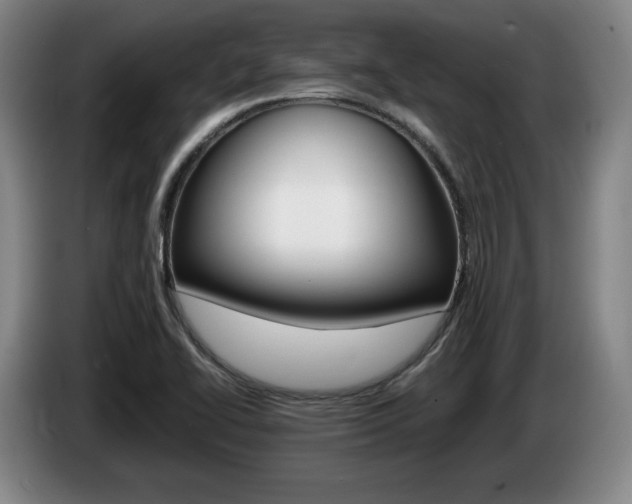 X0000085311414200703091044