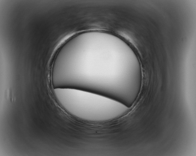 X0000085311415200703091044