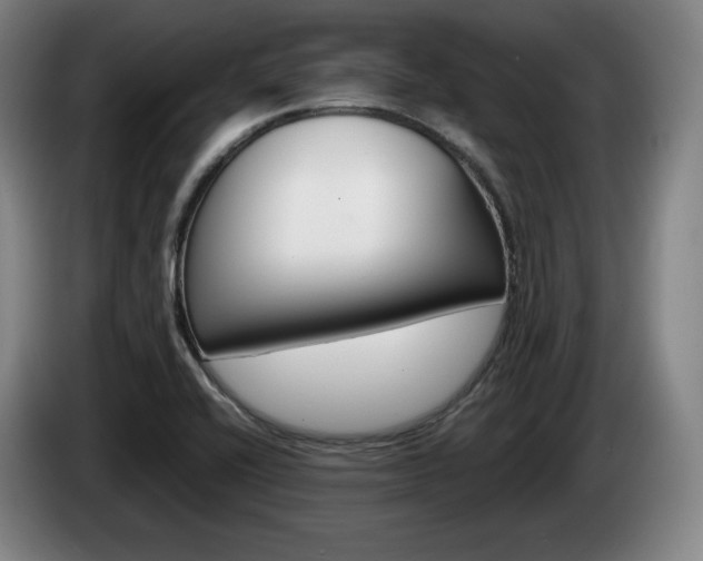X0000085311416200703091044