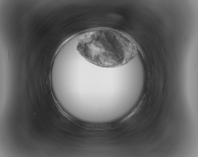 X0000085311417200703091044