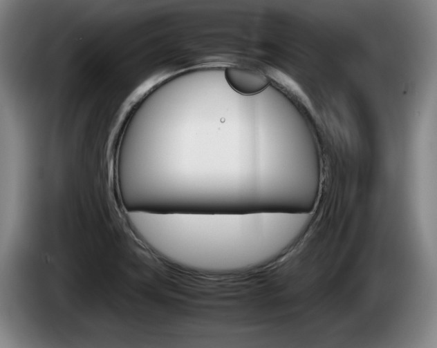 X0000085311419200703091044
