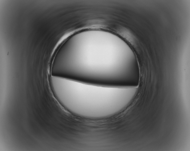 X0000085311420200703091044