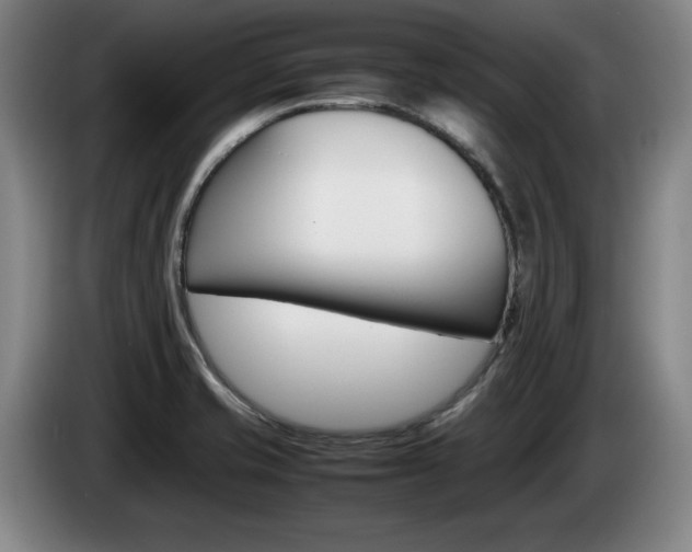 X0000085311421200703091044