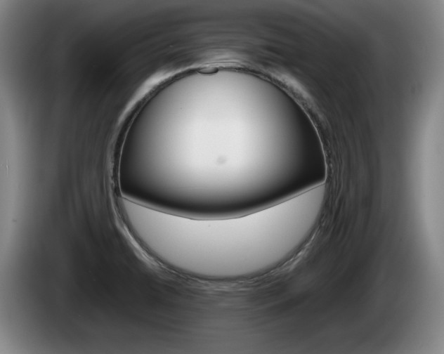 X0000085311422200703091044