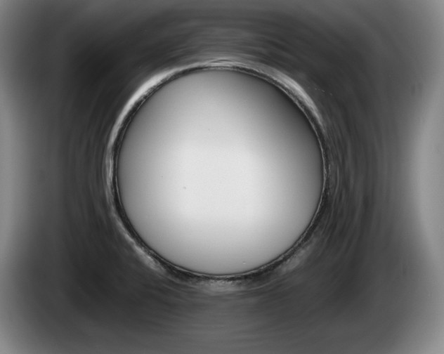 X0000085311424200703091044