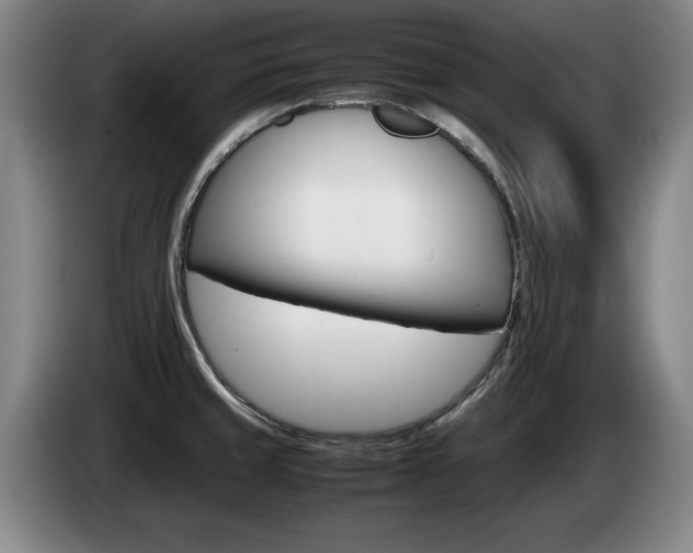 X0000085311429200703091044