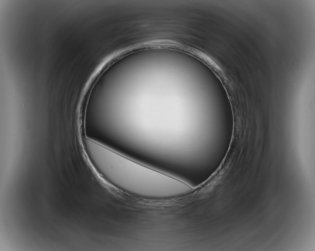 X0000085311430200703091044