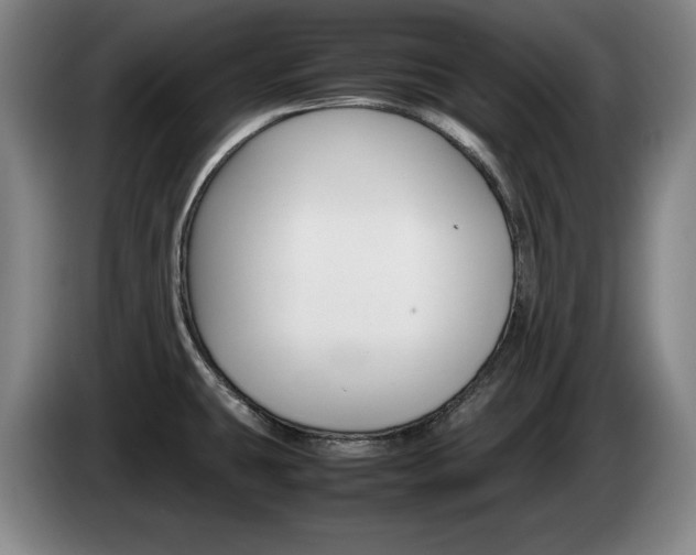 X0000085311431200703091044