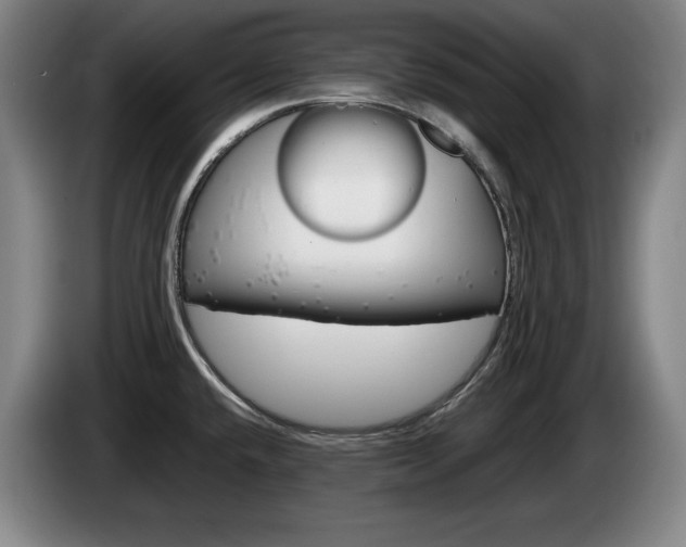 X0000085311432200703091044