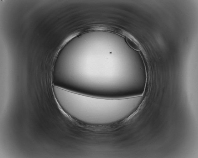 X0000085311433200703091045