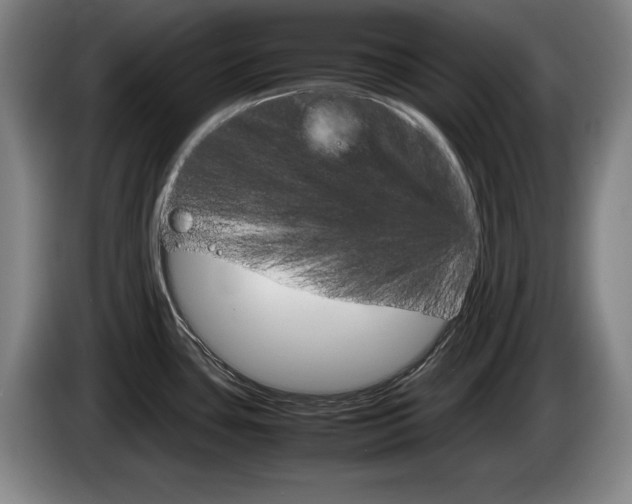 X0000085311435200703091045