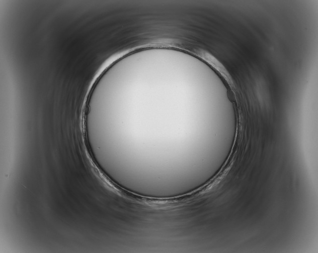 X0000085311436200703091045