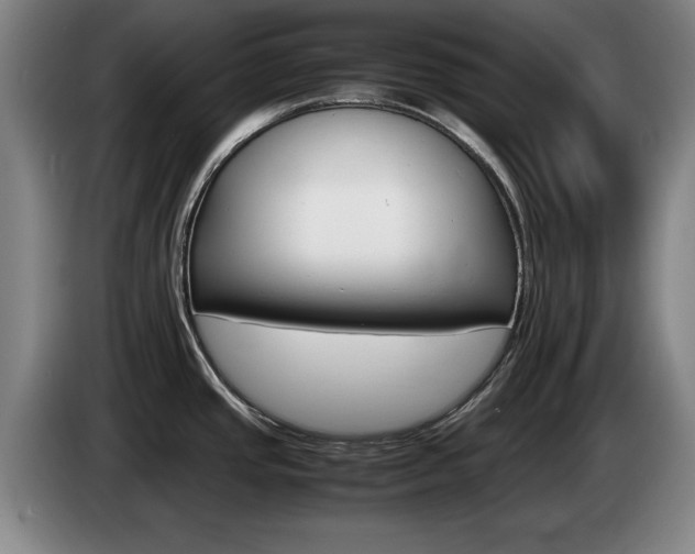 X0000085311437200703091045