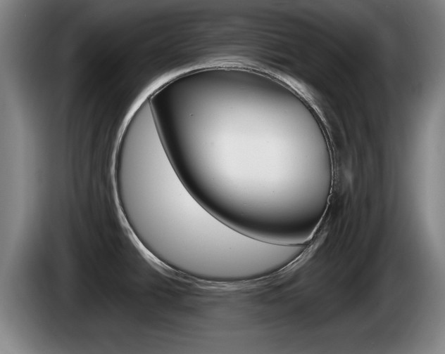 X0000085311438200703091045
