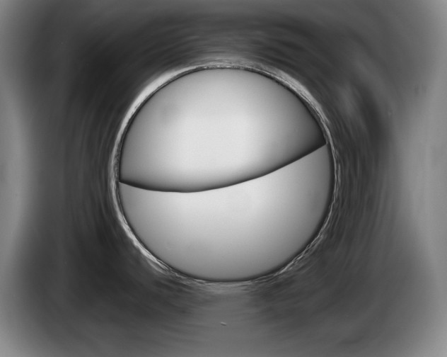 X0000085311440200703091045
