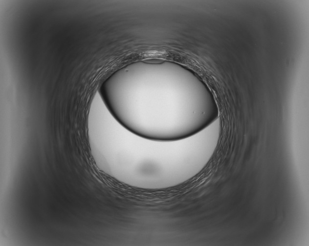 X0000085311441200703091044